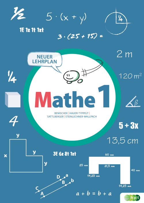 Mathe 1 für die Sekundarstufe I E-Book Solo