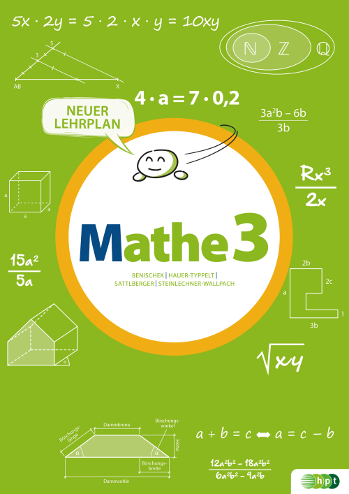 Mathe 3 für die Sekundarstufe I E-Book Solo