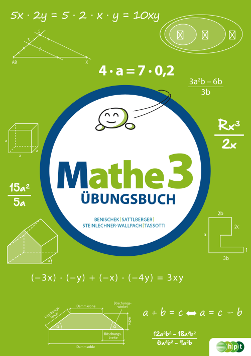 Mathe 3 Übungsbuch für die Sekundarstufe I
